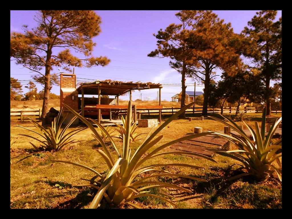 פונטה דל דיאבלו Hostel El Nagual מראה חיצוני תמונה